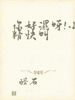 你好湿呀!小妖精快叫