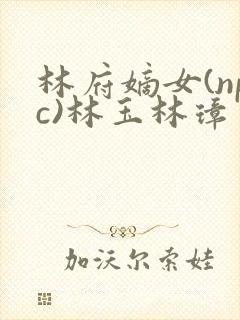 林府嫡女(npc)林玉林璋
