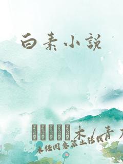 白素小说