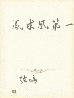 凤求凰第一皇后