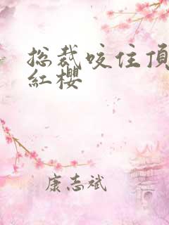 总裁咬住顶端的红樱