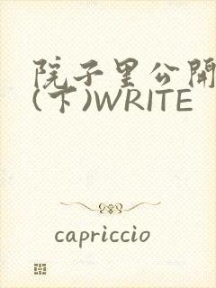 院子里公开惩戒(下)WRITE