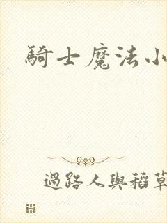 骑士魔法小说