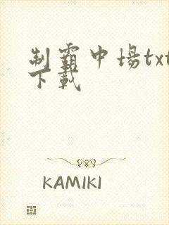 制霸中场txt下载