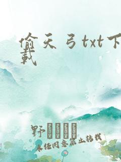 偷天弓txt下载