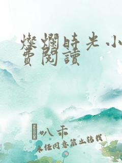 灿烂时光小说免费阅读