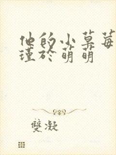 他的小草莓沈修瑾于萌萌