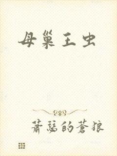 母巢王虫