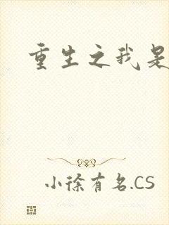 重生之我是段誉