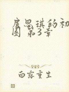 房思琪的初恋乐园 第3章