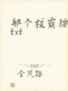 那个校霸腰好软txt