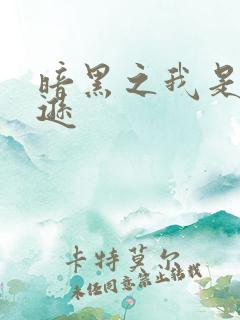 暗黑之我是亚马逊