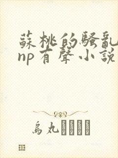 苏桃的骚乱文肉np有声小说