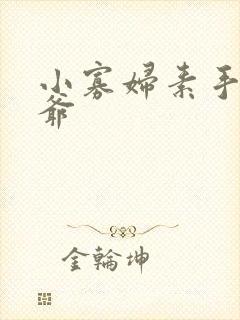 小寡妇素手擒四爷