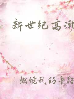 新世纪高潮战队