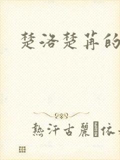 楚洛楚苒的小说