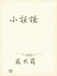 小说镜