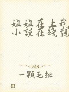 姐姐在上我在下小说在线观看