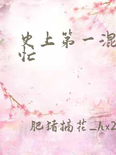 史上第一混乱刘忙