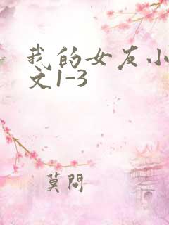 我的女友小洁全文1-3