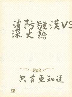 消防糙汉VS水深火热