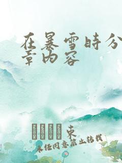 在暴雪时分54章内容