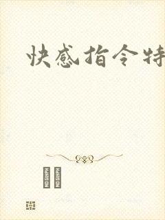 快感指令特别篇