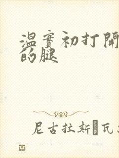 温实初打开眉庄的腿