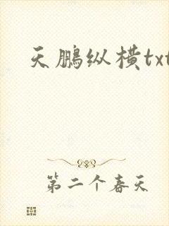 天鹏纵横txt