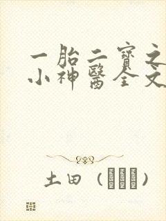 一胎二宝之弃妃小神医全文免费阅读