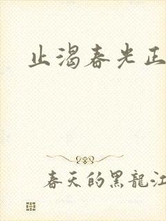 止渴春光正好