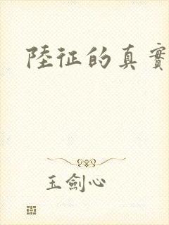 陆征的真实身份