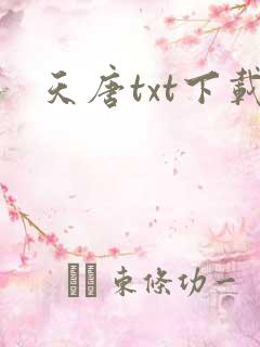 天唐txt下载