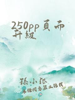 250pp页面升级