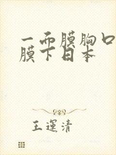 一面膜胸口一面膜下日本