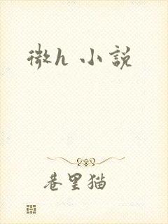 微h 小说