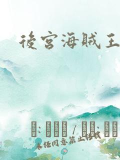 后宫海贼王下载