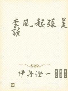 李风起张美丽小说