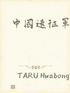 中国远征军小说