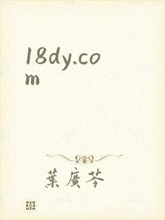 18dy.com
