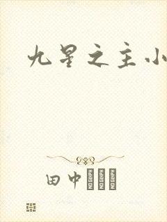 九星之主小说