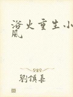 浴火重生小说陈风