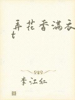 弄花香满衣txt