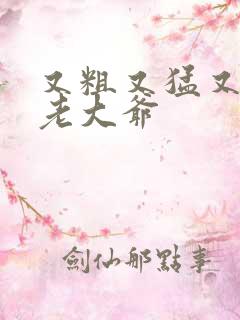 又粗又猛又大爽老大爷