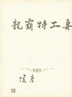 龙霸特工妻
