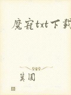 魔宠txt下载