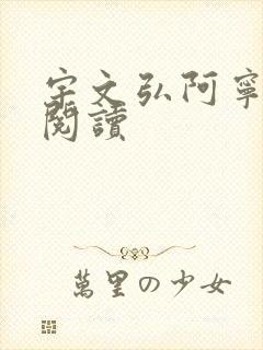 宇文弘阿宁全文阅读