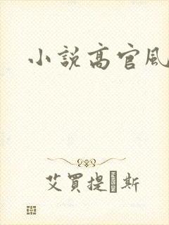 小说高官风流