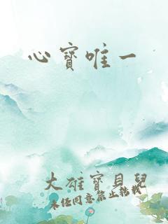 心宝唯一