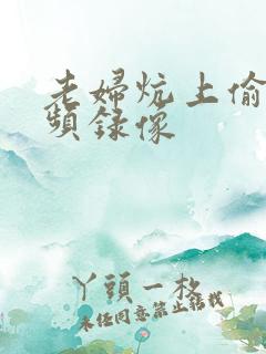 老妇炕上偷汉视频录像